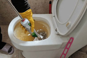 Détartrage WC Écologique et Efficace